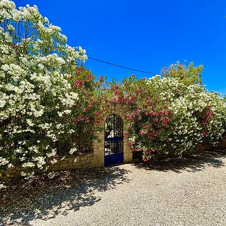 Olivos Vakantiehuis Ronda