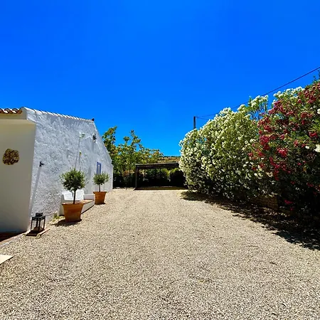 Olivos Vakantiehuis Ronda