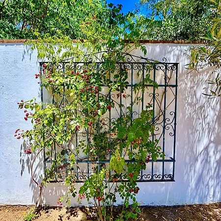 Olivos Vakantiehuis *