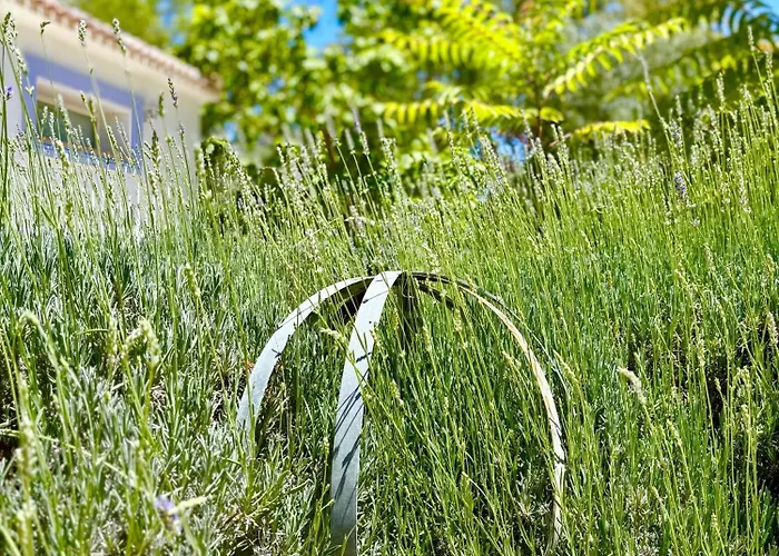 בית נופש Olivos