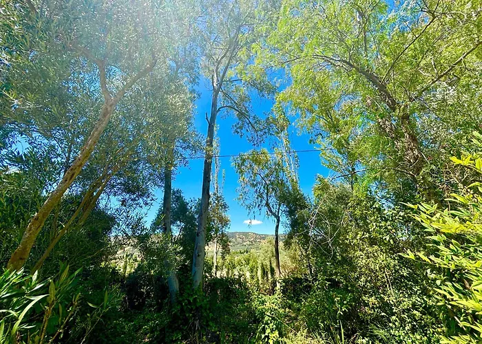 Semesterbostad Olivos *