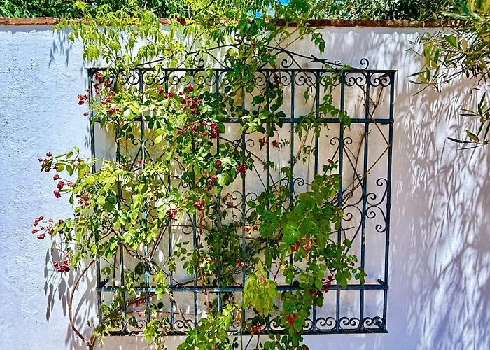 Olivos Semesterbostad *