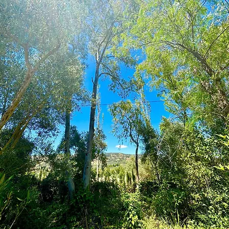 בית נופש Olivos *