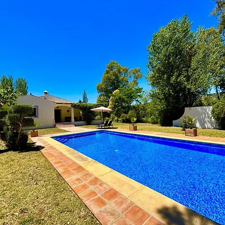 Olivos